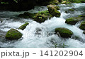 芹川的源頭，夏季的河內谷。 141202904