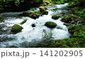 芹川的源頭，夏季的河內谷。 141202905