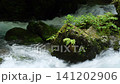 芹川的源頭，夏季的河內谷。 141202906