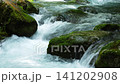 芹川的源頭，夏季的河內谷。 141202908