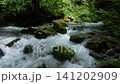 芹川的源頭，夏季的河內谷。 141202909