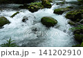 芹川的源頭，夏季的河內谷。 141202910