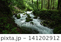 芹川的源頭，夏季的河內谷。 141202912