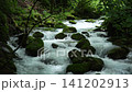 芹川的源頭，夏季的河內谷。 141202913