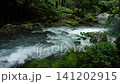 芹川的源頭，夏季的河內谷。 141202915