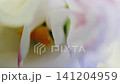 Flower, petals, red, light and shadow, ink droplets, drops of liquid ink, colored lighting, soft focus 141204959
