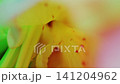 Flower, petals, colorful, light and shadow, ink drop, ink, liquid dripping, strobe, C-UP, HS 141204962
