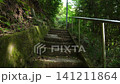 Kyoto, Fushimi, forest, mountain, Japan, landscape, trees, grass, shrine 141211864
