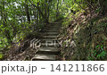 Kyoto, Fushimi, forest, mountain, Japan, landscape, trees, grass, shrine 141211866