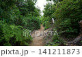 Kyoto, Fushimi, forest, mountain, Japan, landscape, trees, grass, shrine 141211873
