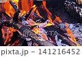 Fire in grill with burning wood and hot coals closeup, 141216452