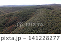 Forest Aerial View 141228277