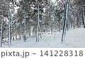 Snowy Covered Trees  141228318