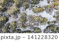 Snow Covered Hill View 141228320