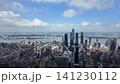Hudson yards and midtown manhattan skyline aerial view 141230112