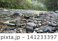 Horizontal video of a fast-flowing mountain river with wet rocks in the foreground, featuring a dense green mixed forest and rising smoke on the opposite bank, 4k 141233397
