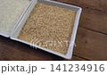 Video dolly shot showcasing raw white jasmine rice beside nutritious brown jasmine rice grains in two white ceramic square bowls placed on rustic wooden table, healthy food comparison concept 141234916