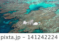 Calm and clear coral reefs 141242224