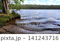 Forest lake on a sunny summer day 141243716