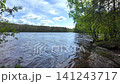 Forest lake on a sunny summer day 141243717