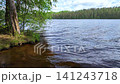 Forest lake on a sunny summer day 141243718