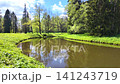 Spring landscape in a beautiful park. Slowmotion 141243719