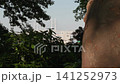 Scenery of hill park where harbor can be seen 141252973