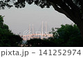 Scenery of hill park where harbor can be seen 141252974