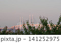 Scenery of hill park where harbor can be seen 141252975
