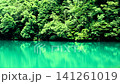 A pond in the forest, surrounded by fresh greenery. A pond in the forest, surrounded by fresh greenery. 141261019