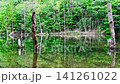 A pond nestled in the greenery of the high mountains. A pond nestled in the greenery of the high mountains. 141261022