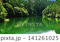 A pond in the forest, surrounded by fresh greenery. A pond in the forest, surrounded by fresh greenery. 141261025