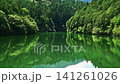 A pond in the forest, surrounded by fresh greenery. A pond in the forest, surrounded by fresh greenery. 141261026