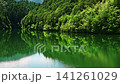 A pond in the forest, surrounded by fresh greenery. A pond in the forest, surrounded by fresh greenery. 141261029