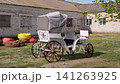Vintage White Horse Carriage Parked on Green Grass Near Old Brick Building 141263925