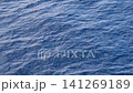 Blue ocean water surface displays gentle waves reflecting sunlight, creating a tranquil scene in a coastal aquatic environment 141269189