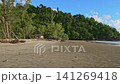 big Pine Tree Remains Along the Shoreline. A dramatic coastal landscape featuring giant driftwood, exposed roots, and ancient fallen trees shaped by continuous shoreline erosion and ocean wave action 141269418