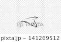 Cute hand drawn animation with flying bird. Isolated cartoon character in outline style. Doodle nature concept. Monochrome clip-art. Imitation of ink brush art. Footage with alpha channel 141269512