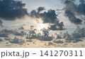 Beautiful summer day sky with fluffy white clouds time lapse in bright blue atmosphere. 141270311