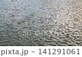 Raindrops falling on grey water surface creating ripples and bubbles with overcast reflection, calm and melancholic atmosphere of rainy weather 141291061