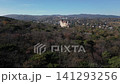 Aerial view of Vienna, Austria, drone flying towards the beautiful city, 4k 141293256