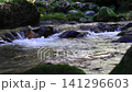 美しい清らかなせせらぎの流れ 141296603