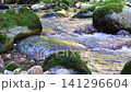 美しい清らかなせせらぎの流れ 141296604