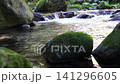 美しい清らかなせせらぎの流れ 141296605