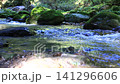 美しい清らかなせせらぎの流れ 141296606