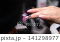 A woman's hand during a manicure. A woman getting a manicure. A manicurist is doing a client's nails at a nail salon. Beauty salon concept: manicures, pedicures. A woman's hand during a manicure. A woman getting a manicure. A manicurist is doing a client's nails at a nail salon. Beauty salon concept: manicures, pedicures. 141298977