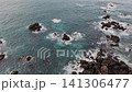 reef reef 141306477