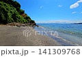 The beach and sea photographed on Sarushima Island 141309768