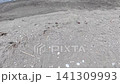 The beach and sea photographed on Sarushima Island 141309993