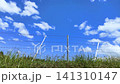 Looking up at the barbed wire and blue sky from the grassland. 141310147